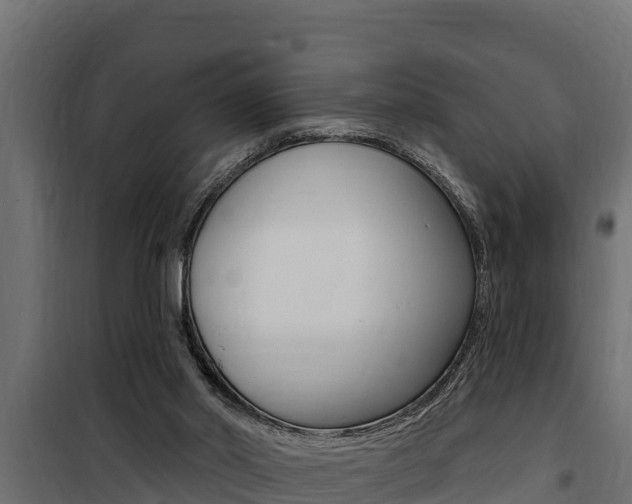 X0000100780014200806191028