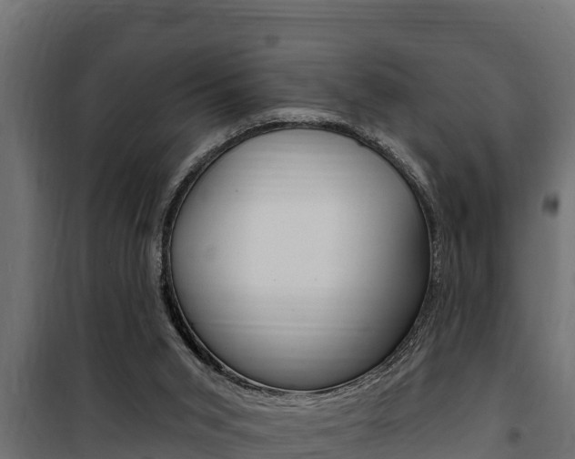 X0000100780015200806191028