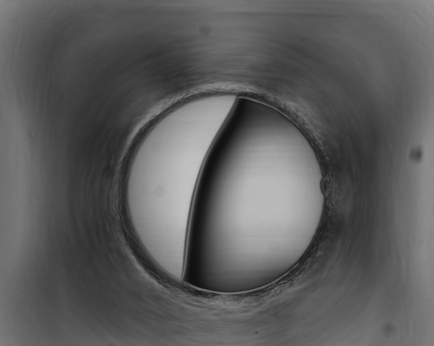 X0000100780016200806191028