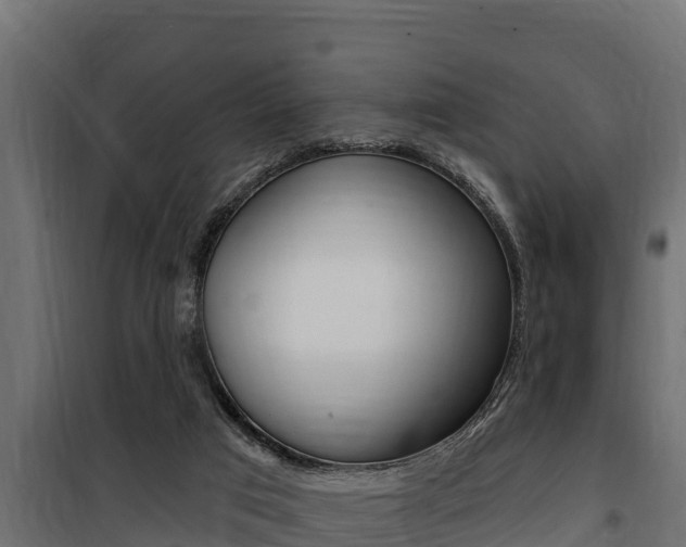 X0000100780017200806191028