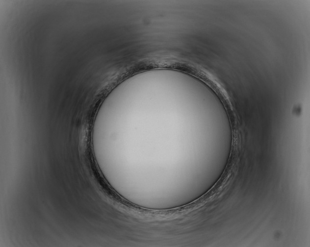 X0000100780018200806191028