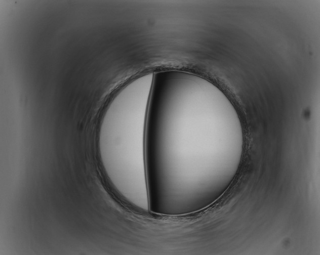 X0000100780020200806191027