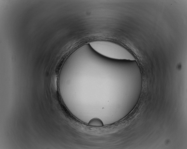 X0000100780022200806191027