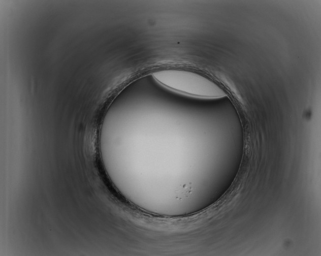 X0000100780023200806191027