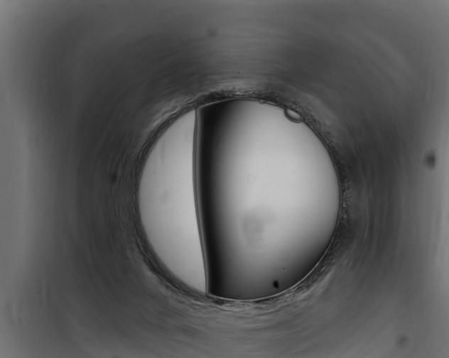 X0000100780024200806191027