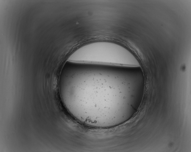 X0000100780025200806191027