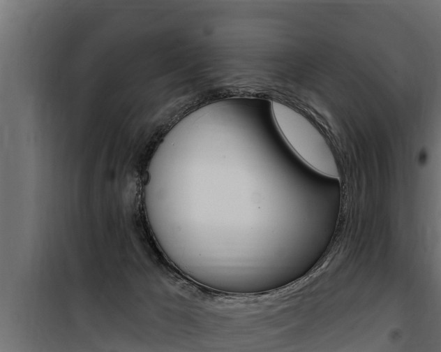 X0000100780029200806191027