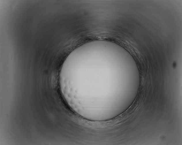 X0000100780030200806191027