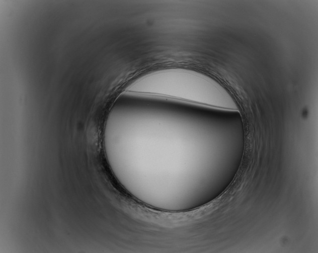 X0000100780031200806191027