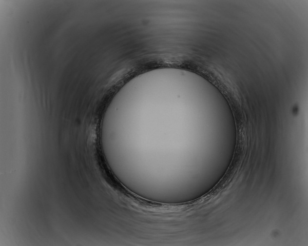 X0000100780032200806191027