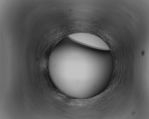 X0000100780033200806191027