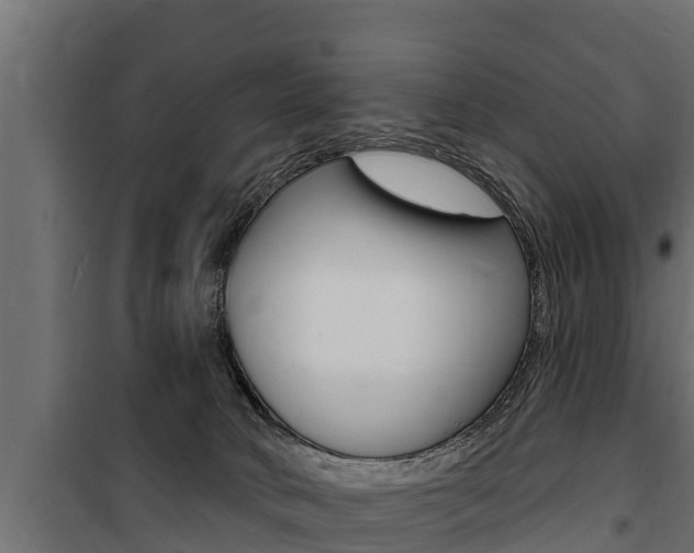 X0000100780034200806191027