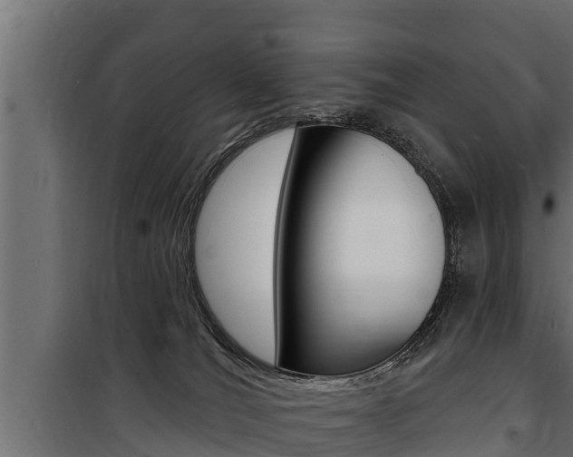 X0000100780036200806191027