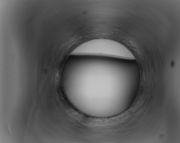 X0000100780037200806191027