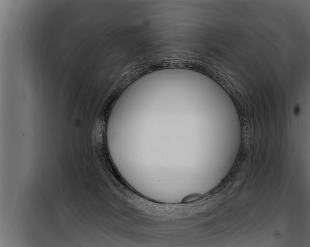 X0000100780038200806191027