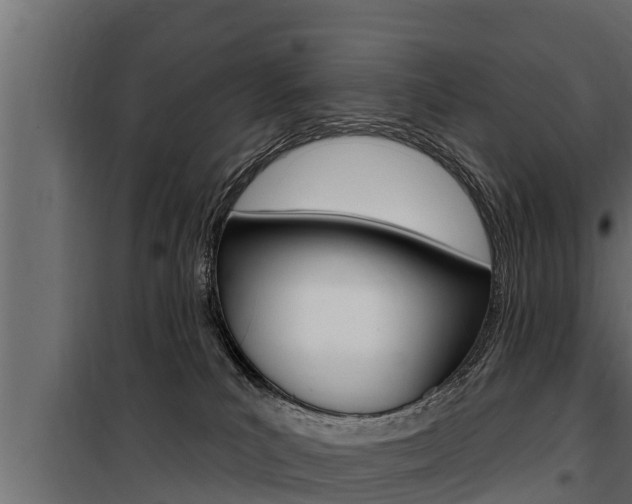 X0000100780039200806191027