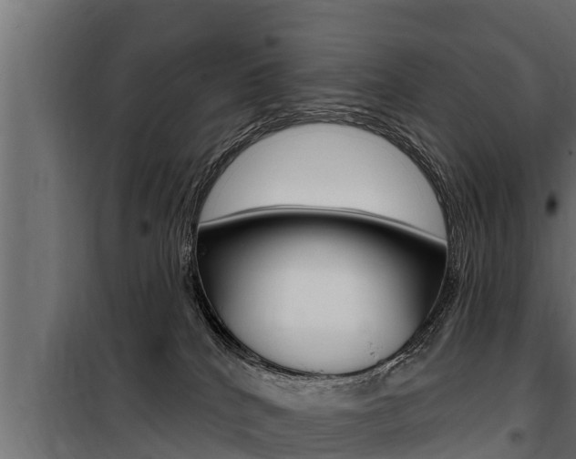 X0000100780040200806191027