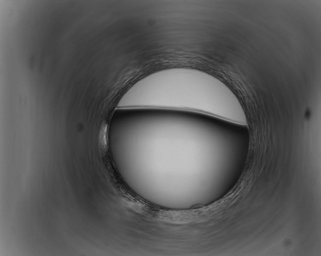 X0000100780041200806191027