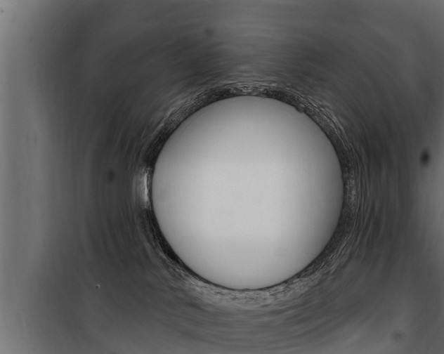 X0000100780042200806191027