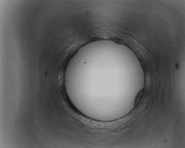 X0000100780043200806191027