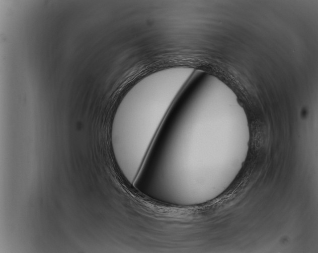 X0000100780044200806191027