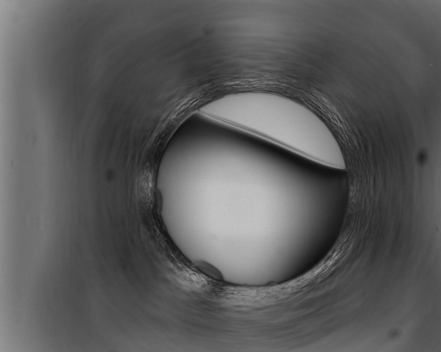 X0000100780045200806191027