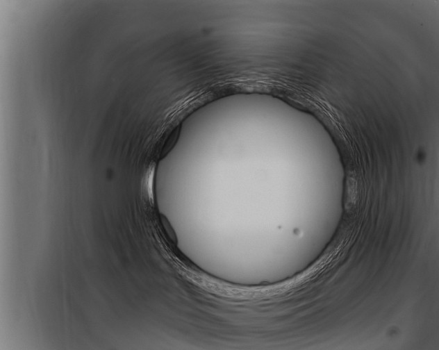 X0000100780047200806191027