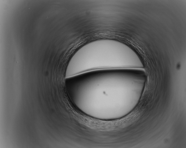 X0000100780048200806191027