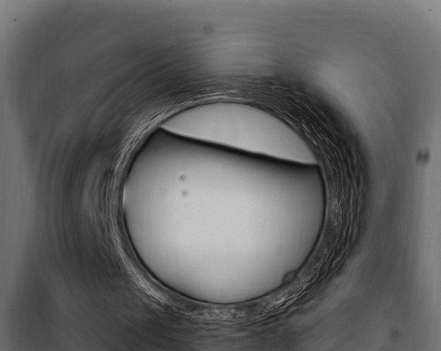 X0000100780049200806191026