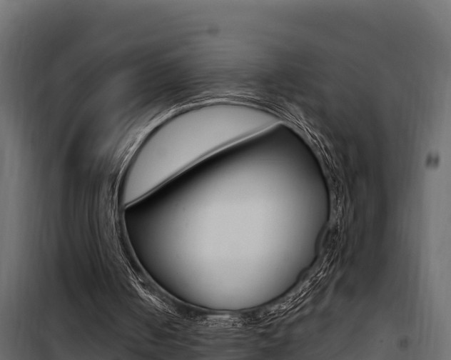 X0000100780050200806191026