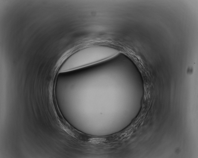 X0000100780051200806191026