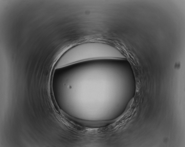 X0000100780052200806191026