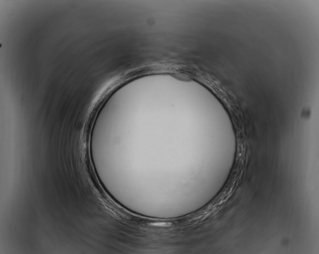 X0000100780053200806191026