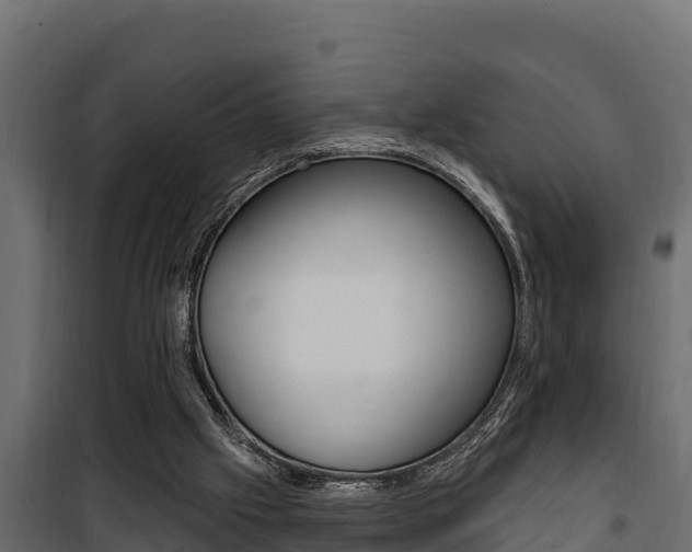 X0000100780057200806191026