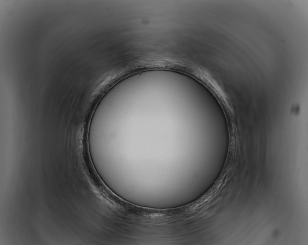 X0000100780058200806191026