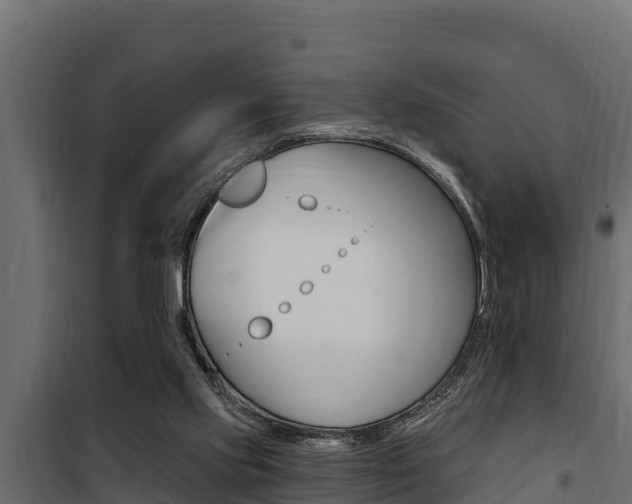 X0000100780061200806191026