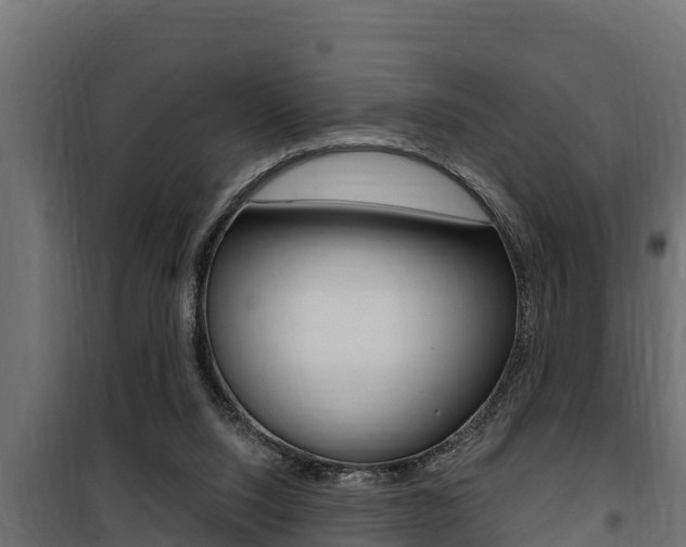 X0000100780064200806191026