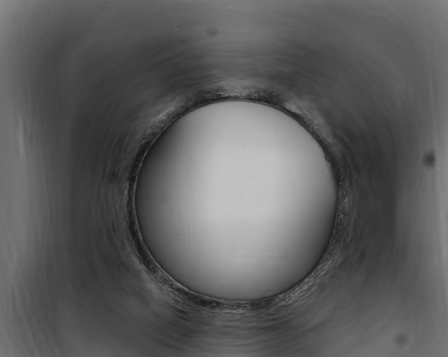 X0000100780066200806191026