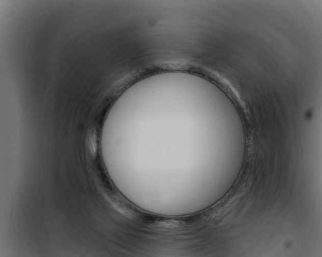 X0000100780069200806191027