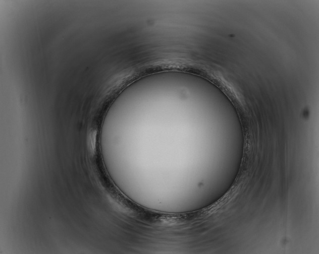 X0000100780070200806191027