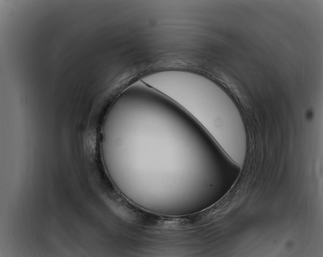 X0000100780072200806191027