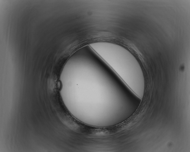 X0000100780073200806191027