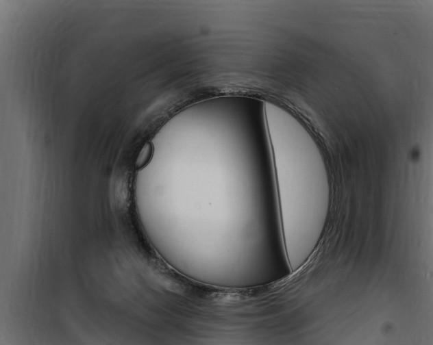 X0000100780074200806191027