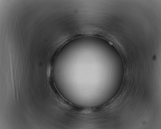 X0000100780076200806191027