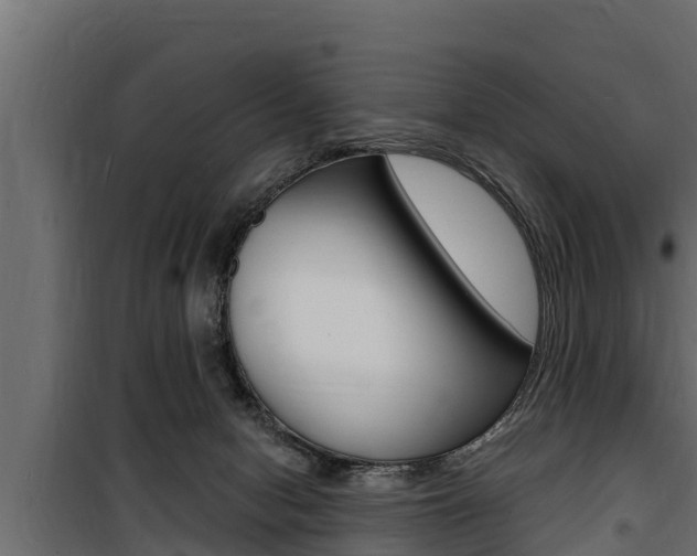 X0000100780078200806191027