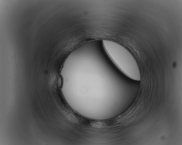 X0000100780079200806191027