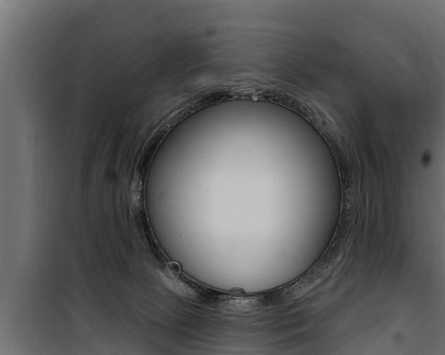 X0000100780081200806191027