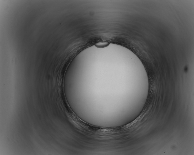 X0000100780082200806191027