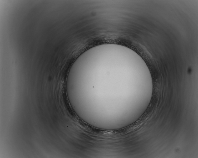 X0000100780083200806191027