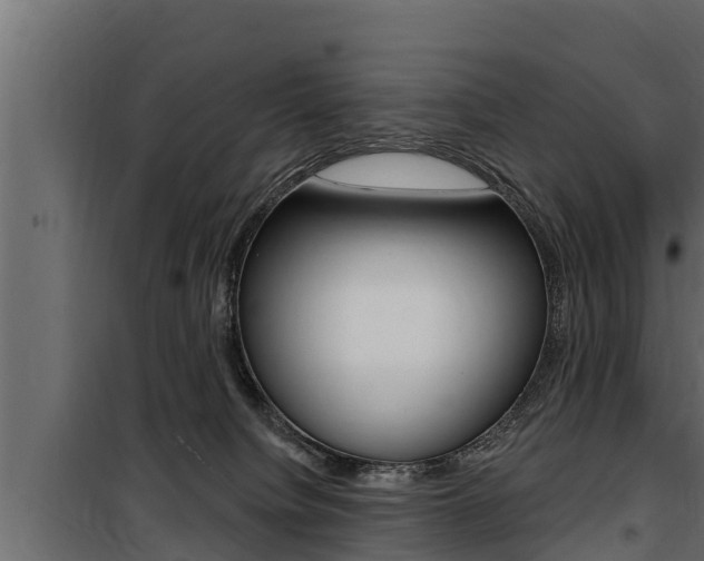 X0000100780084200806191027